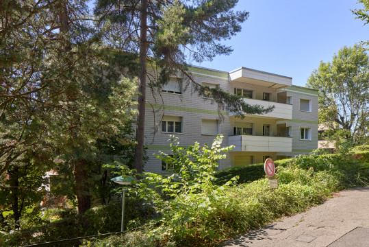 image Chemin de la Lisière 19